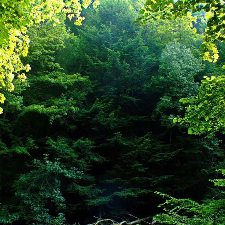 Landscape of national parks